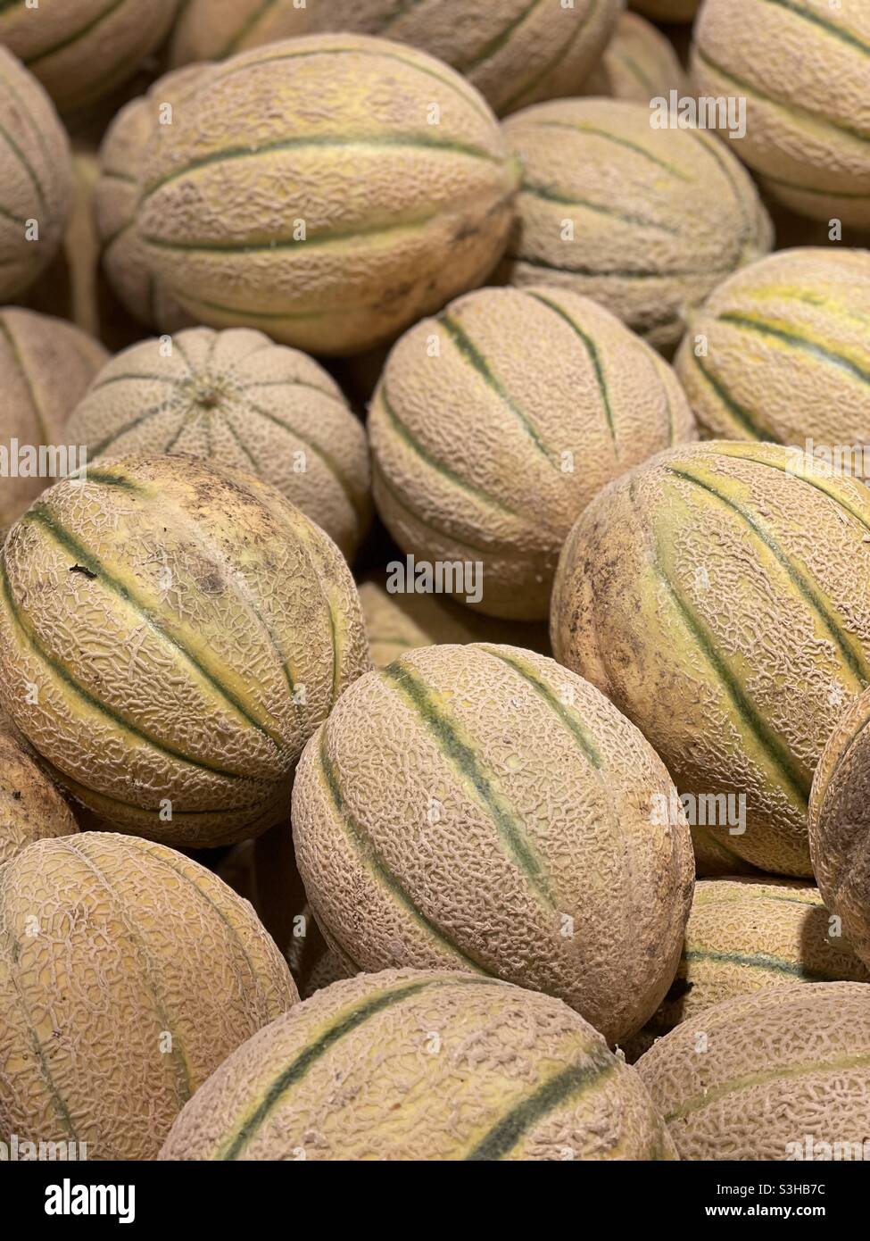 Japanische Melonen auf dem Obstmarkt Stockfoto