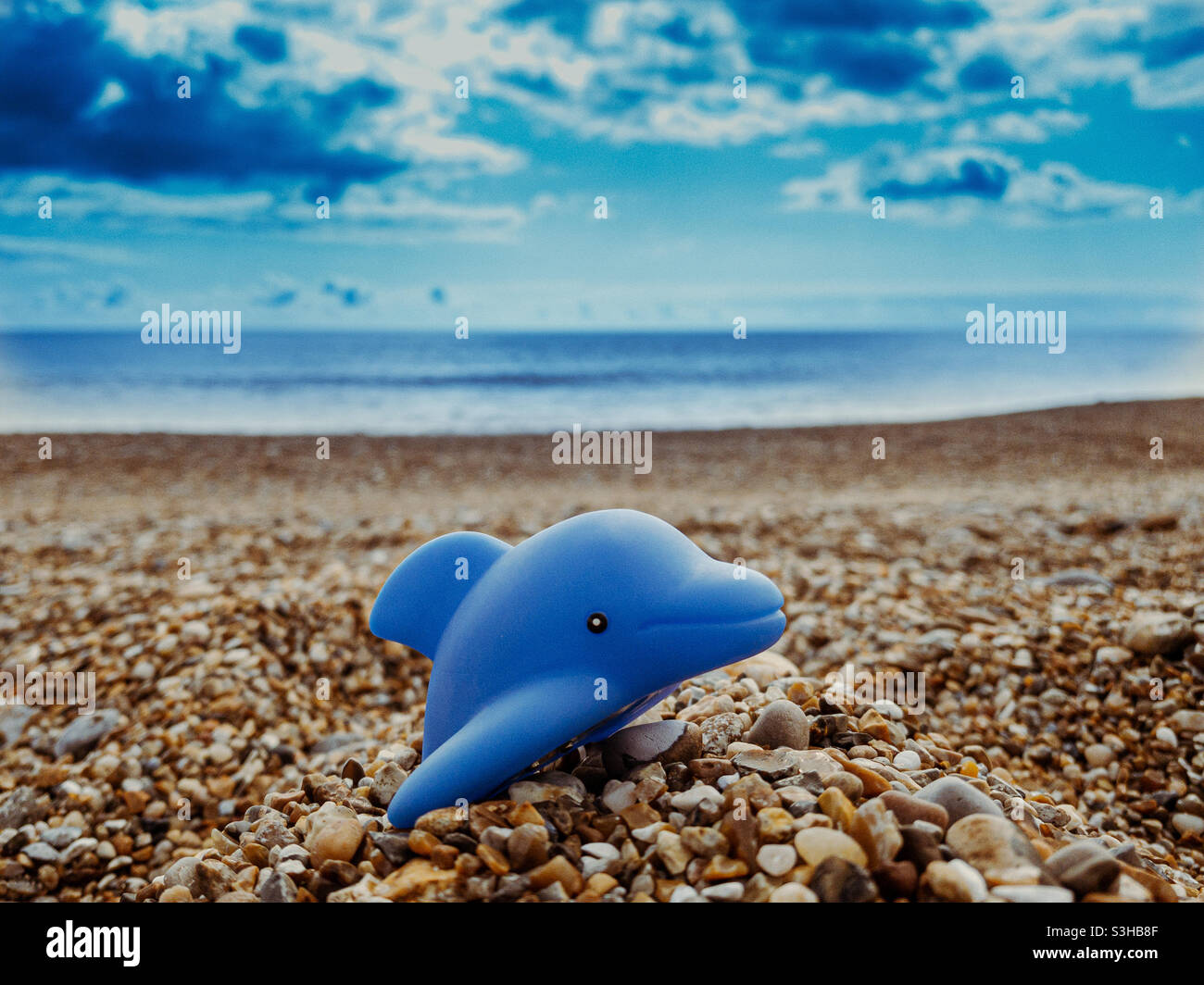 Sei ein Delfin Stockfoto