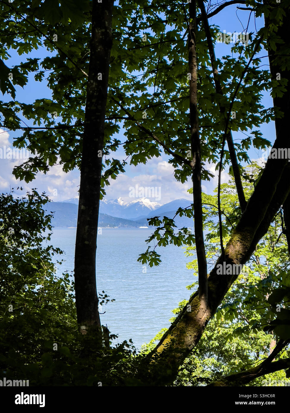 Peekaboo am Burrard Inlet Stockfoto