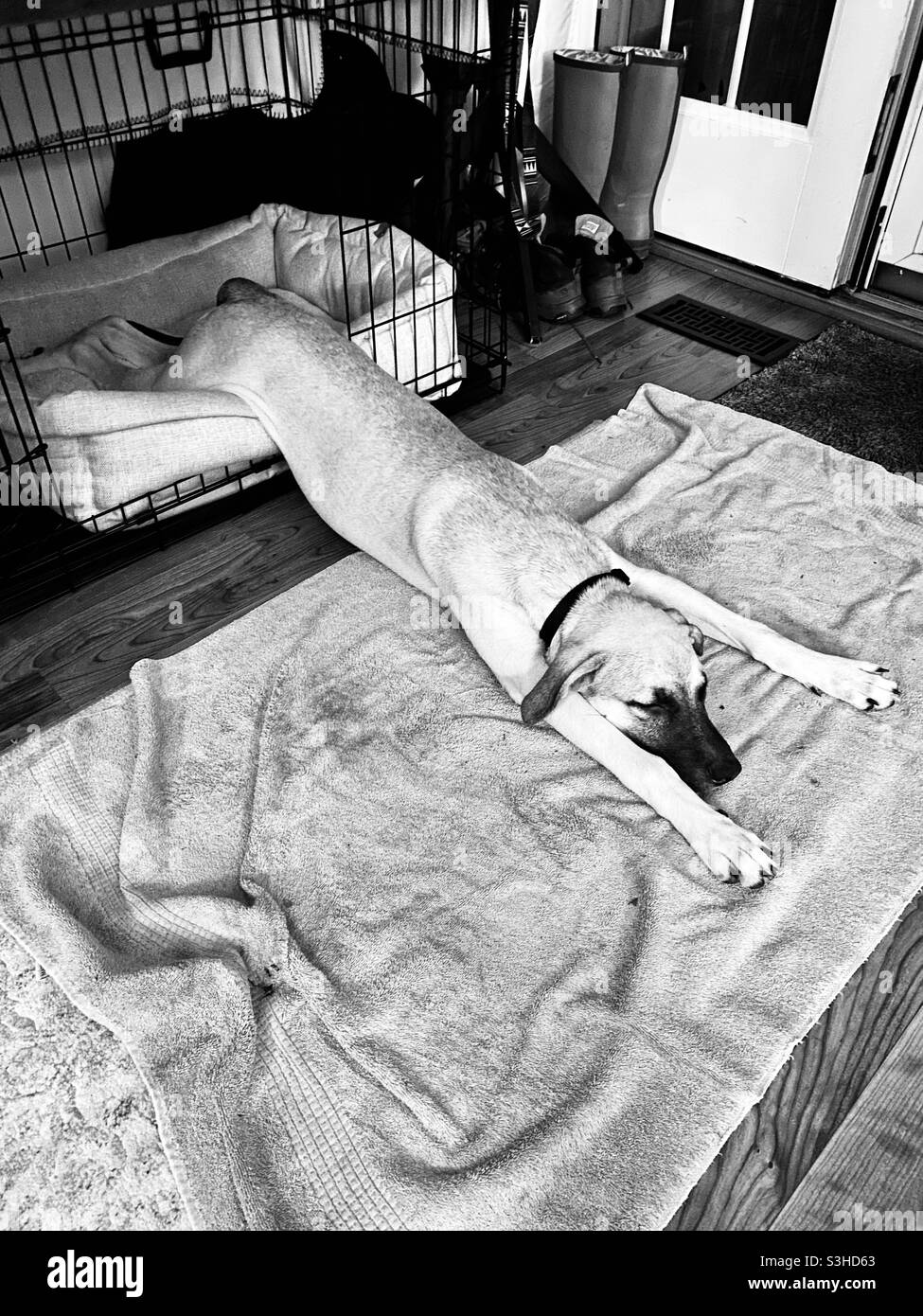 Ich glaube, ich kann fliegen! - Smartphone-aufgenommenes Stockfoto