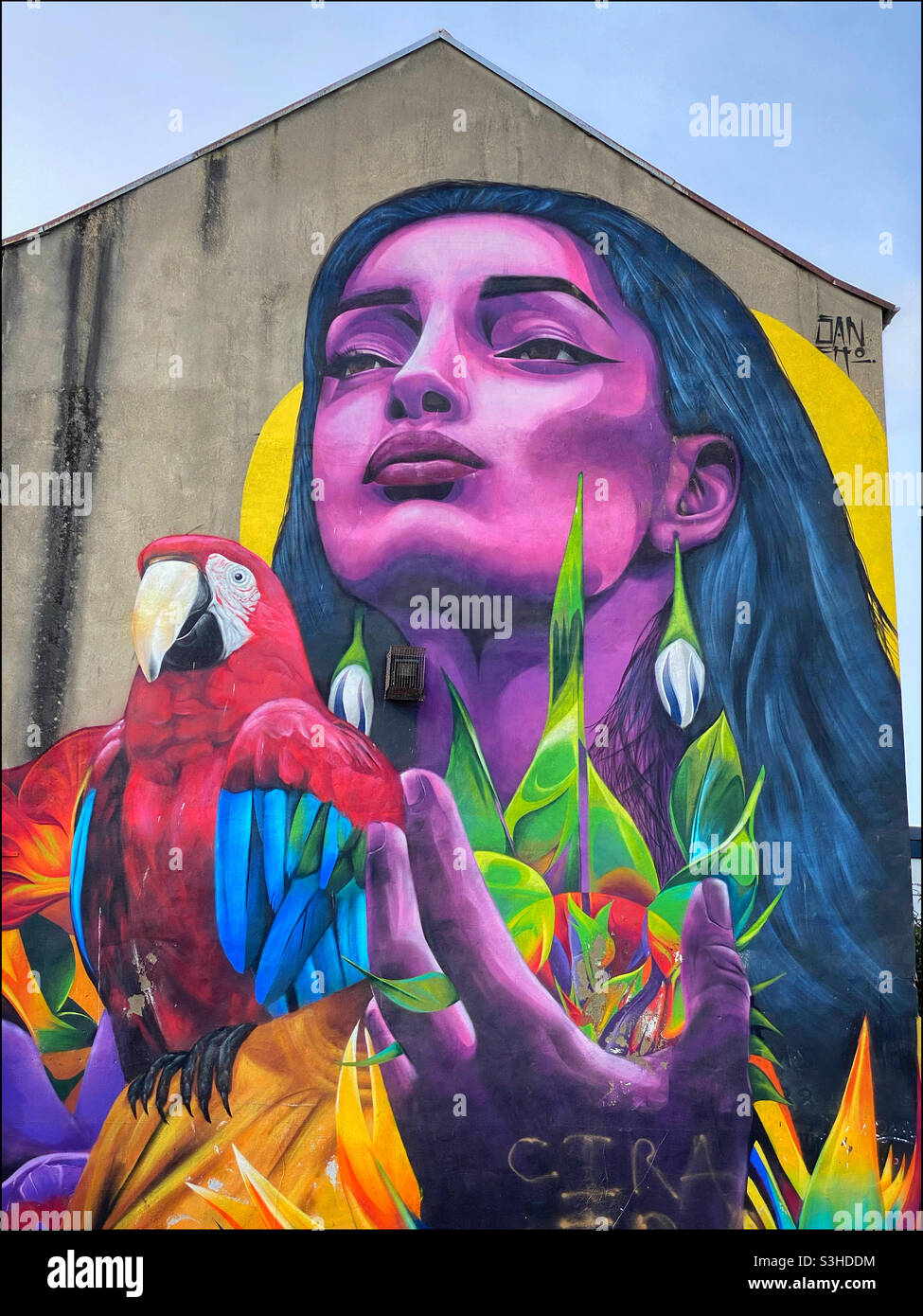 „Frau und Papagei“-Wandgemälde auf der Gresham Street im Stadtzentrum von Belfast. Dieses beeindruckende und farbenfrohe Kunstwerk wurde 2018 vom kolumbianischen Straßenkünstler Sancho Medina geschaffen. Bildnachweis ©️ COLIN HOSKINS. Stockfoto