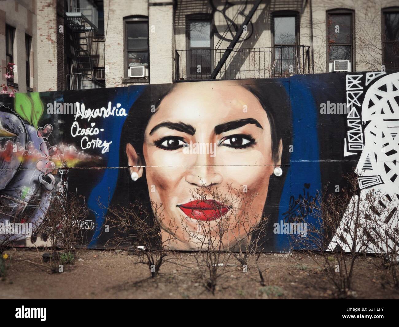 Ein Wandgemälde der US-Kongressabgeordneten Alexandria Ocasio-Cortez in Manhattan, New York. Vordergrundbüsche geben das Aussehen von Gesichtshaar. Stockfoto