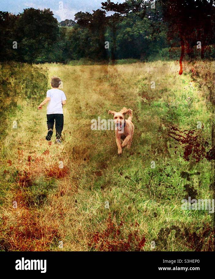 Kleiner Junge und Hund, der auf einem Feld läuft Stockfoto