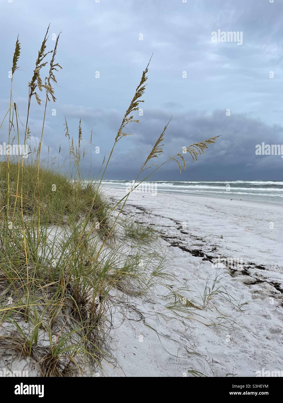 Seeoat und Blick auf den tropischen Sturm Fred, der sich dem Golf von Mexiko nähert, Florida Panhandle - Smartphone-aufgenommenes Stockfoto