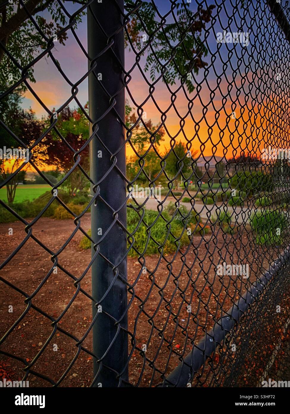 Sonnenuntergang hinter dem Zaun Stockfoto