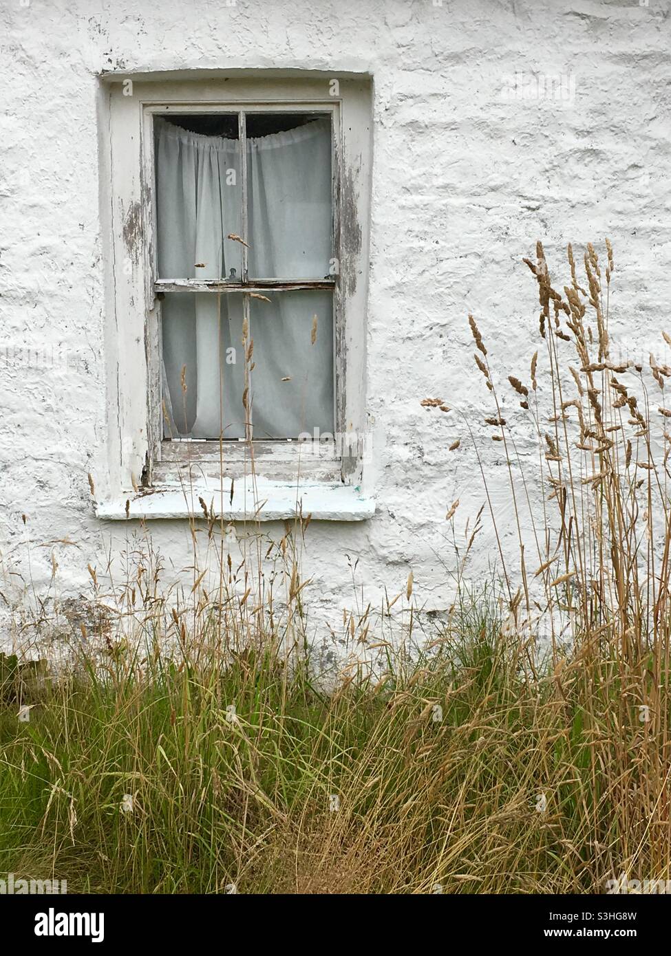 Weiß gewaschene Hüttenmauer mit altem Fenster und überwuchertem Gras Stockfoto