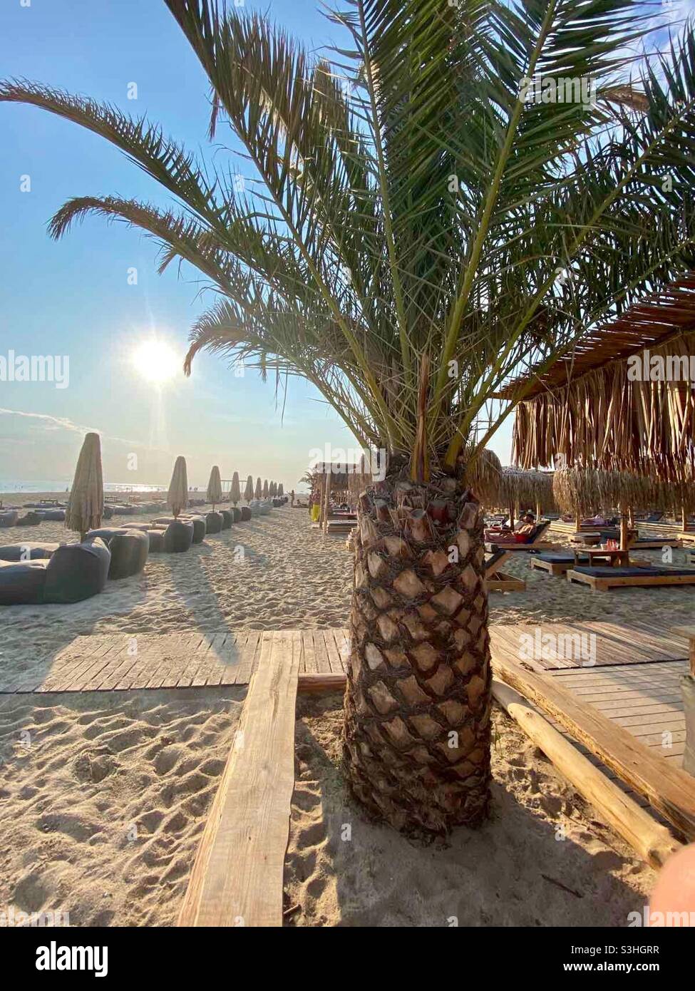 Bar im Freien und Essbereich im Freien im Sahara Resort in Nea Irakleia, Nordostgriechenland, Europa. Konzept für Sommerferien. Strandbar und Palmen am griechischen Sandstrand. - Smartphone-aufgenommenes Stockfoto