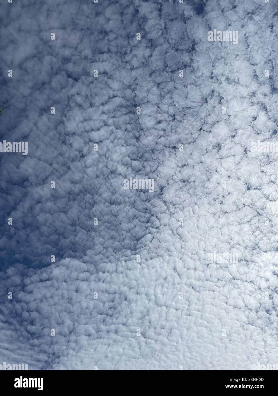 Der Himmel sieht aus wie ein Baumwollball Stockfoto