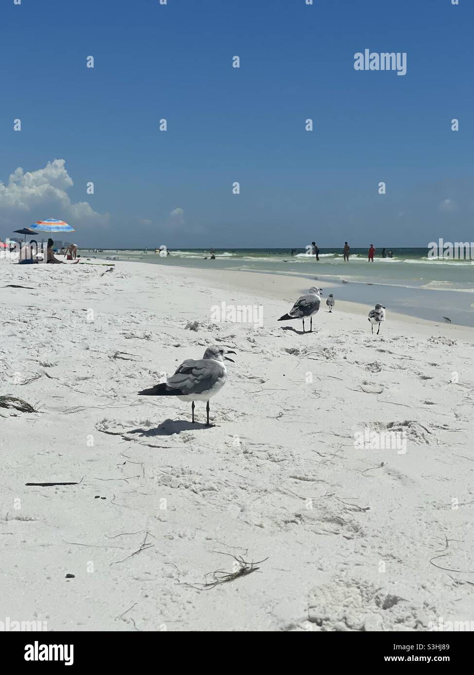 Sommertag am weißen Sandstrand von Florida Stockfoto