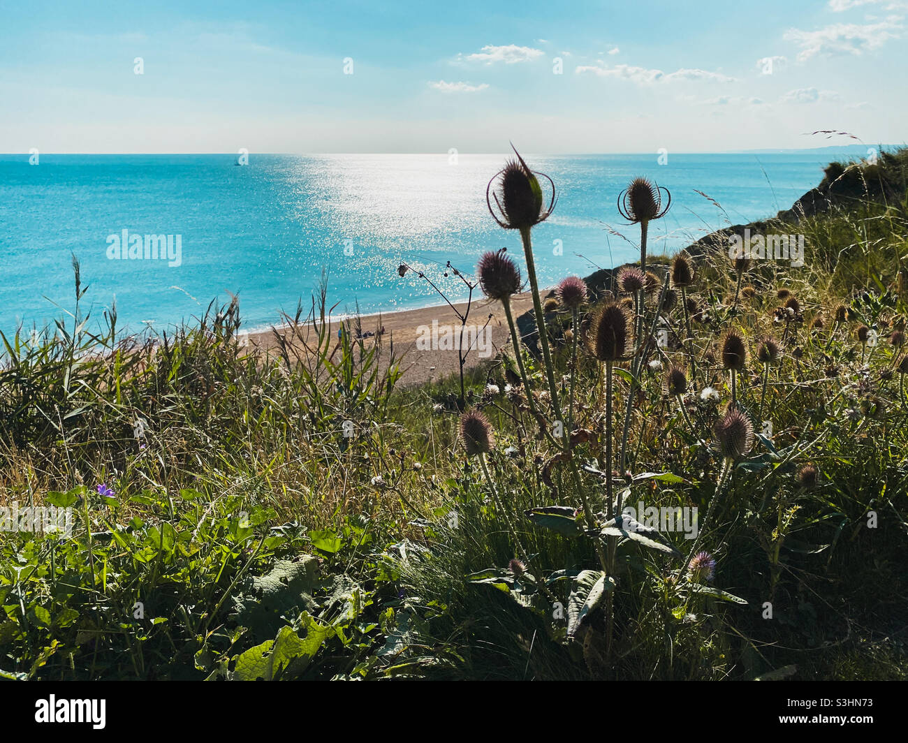 Ein Blick vom Südwestküstenpfad auf das Meer an einem sonnigen späten Augusttag. West Dorset Stockfoto