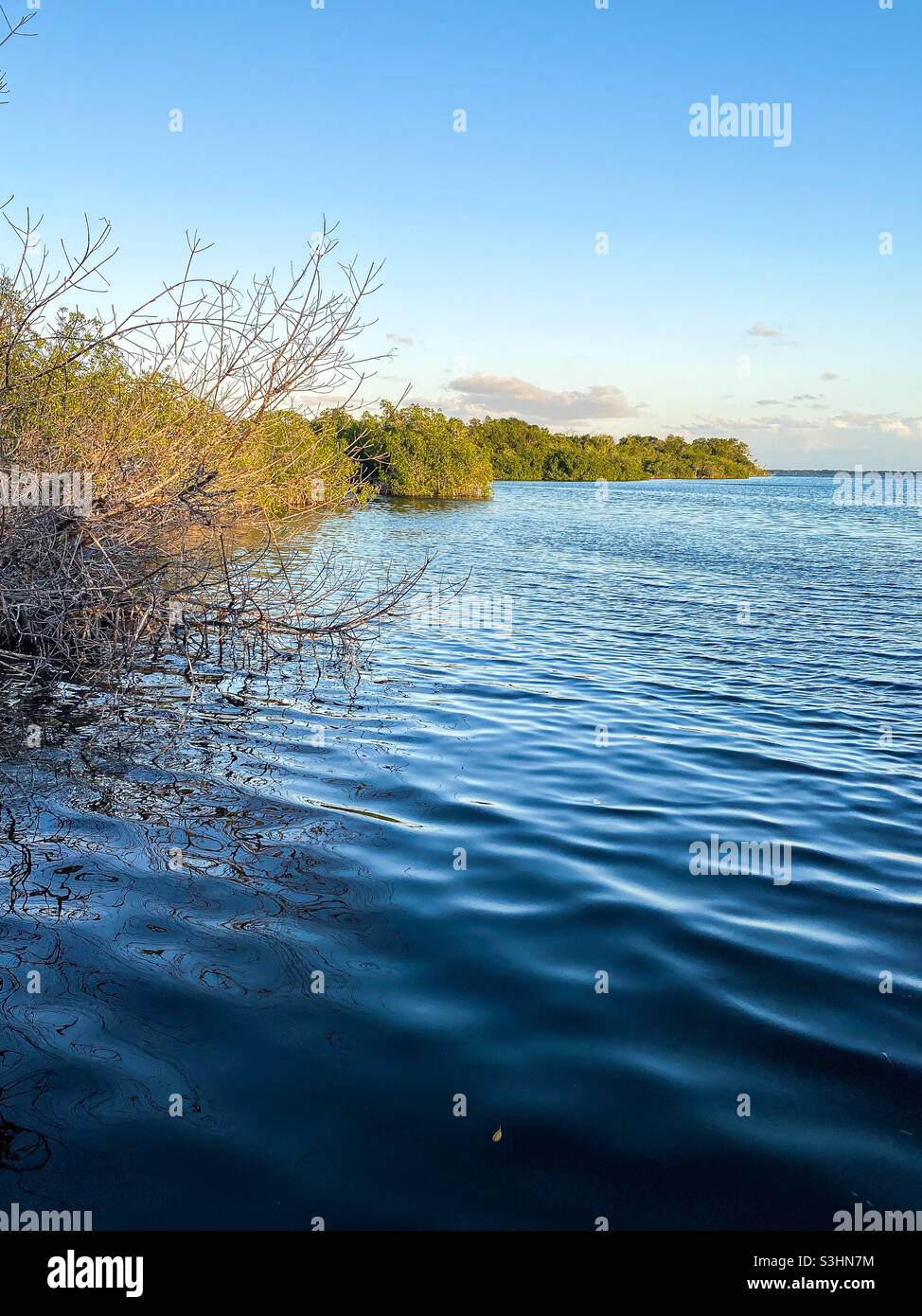 See in den Everglades Stockfoto