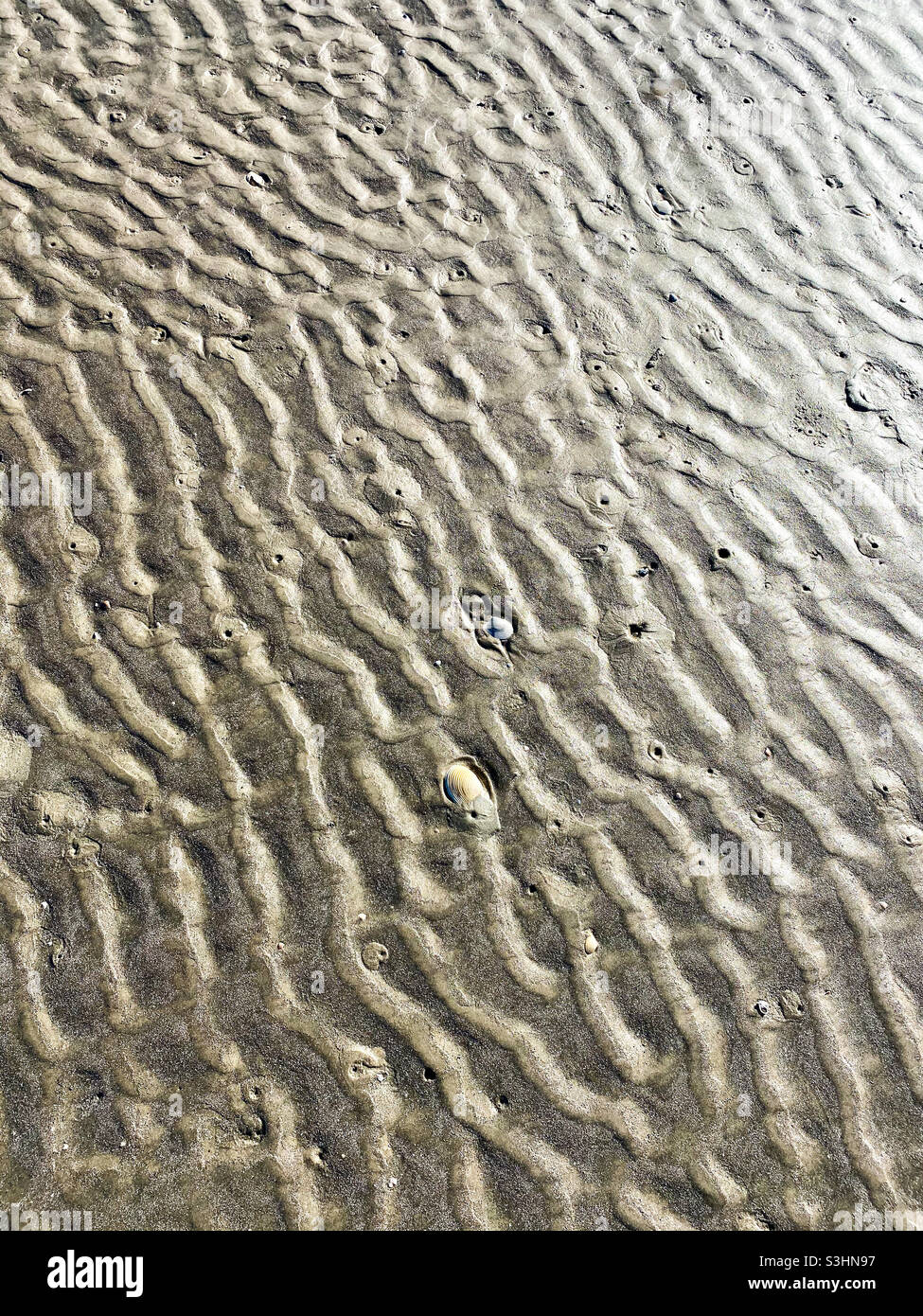 Wellenmuster im Sand am Strand Stockfoto
