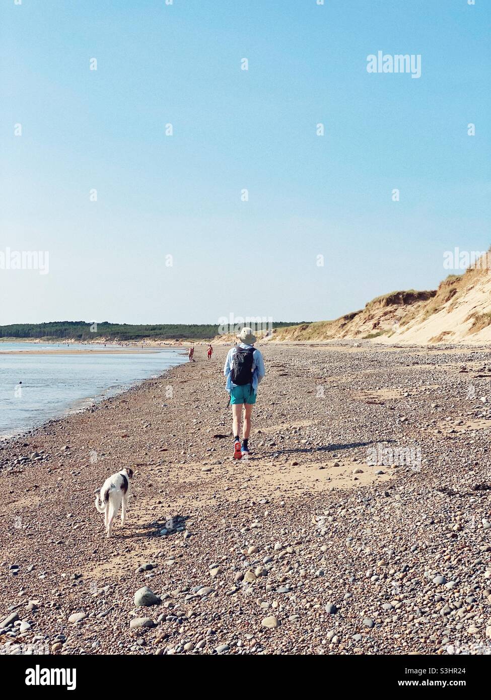 Hundespaziergängen entlang der Küste von Anglesey in Newborough mit dem Wald in der Ferne, North Wales, Großbritannien, Gwynedd - Smartphone-aufgenommenes Stockfoto