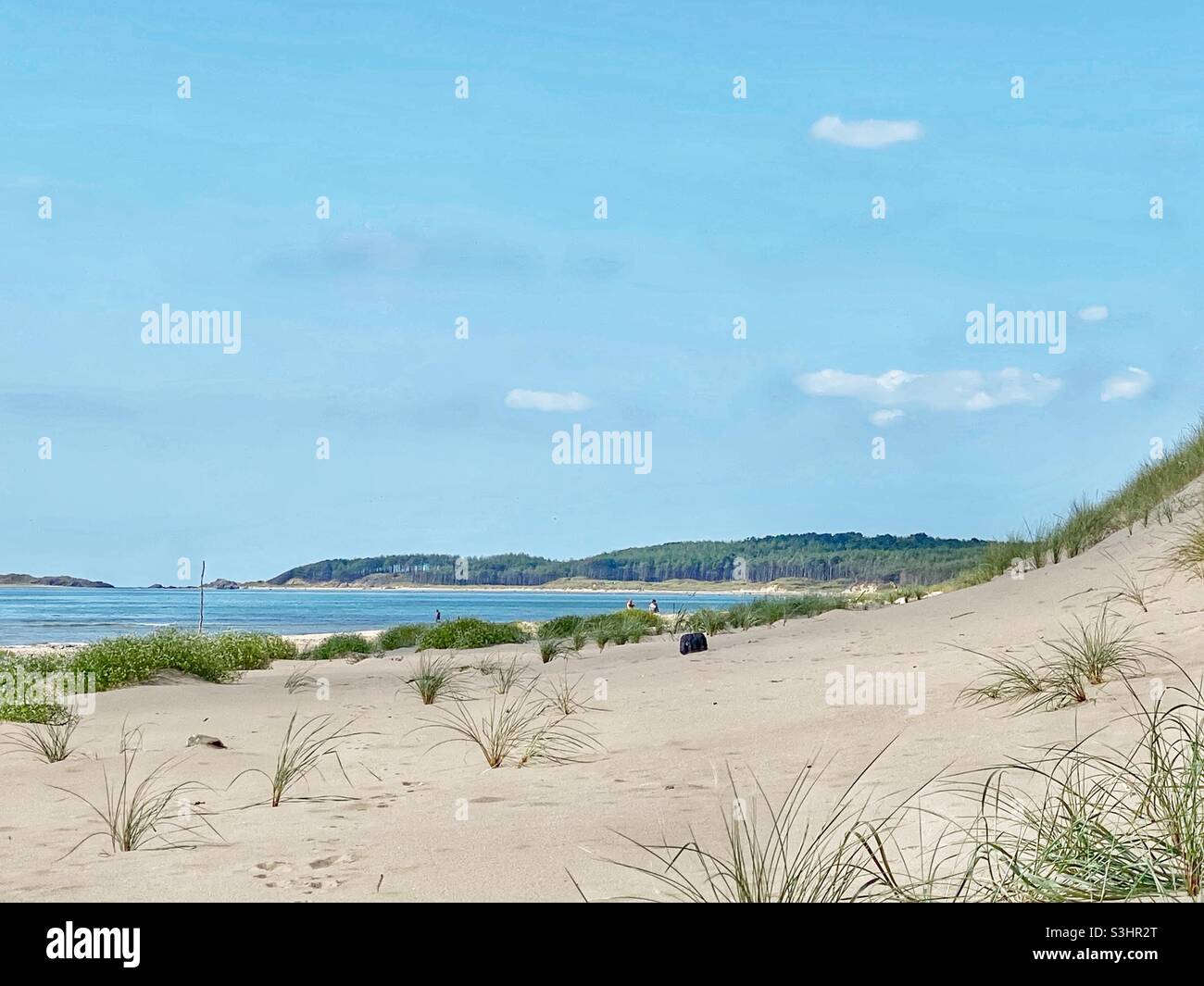 Blick auf den Newborough-Wald von den Sanddünen bei einem Newborough Warren, Anglesey, North Wales, Großbritannien, Spätsommertag, august 2021 - Smartphone-aufgenommenes Stockfoto