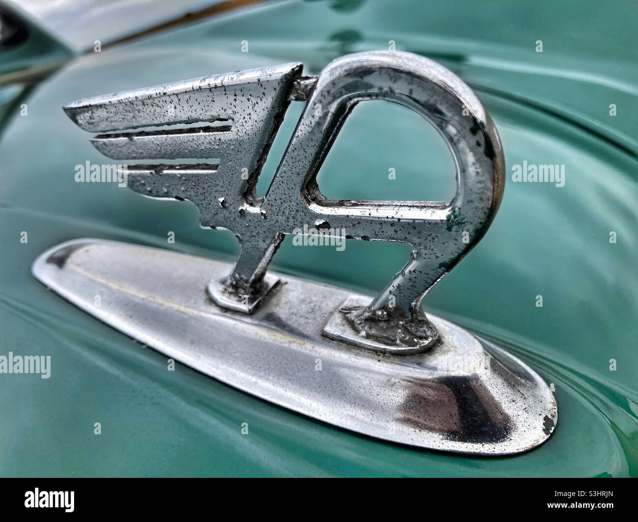 Maskottchen Austin A30 Motorhaube - Smartphone-aufgenommenes Stockfoto