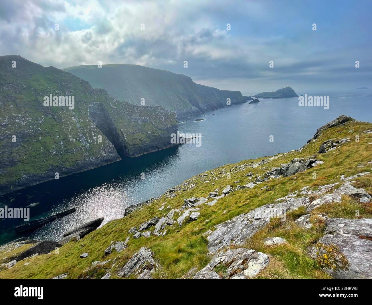 Die Klippen der Grafschaft Kerry, mit Blick auf die Skelligs, Südwestirland, August. Stockfoto