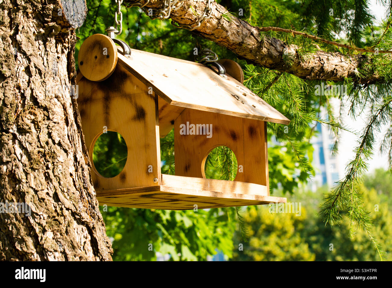 Hausgemachter Vogelfutterhäuschen aus Holz für Vögel und Eichhörnchen, die an einem warmen, sonnigen Tag an einem Baum hängen Stockfoto
