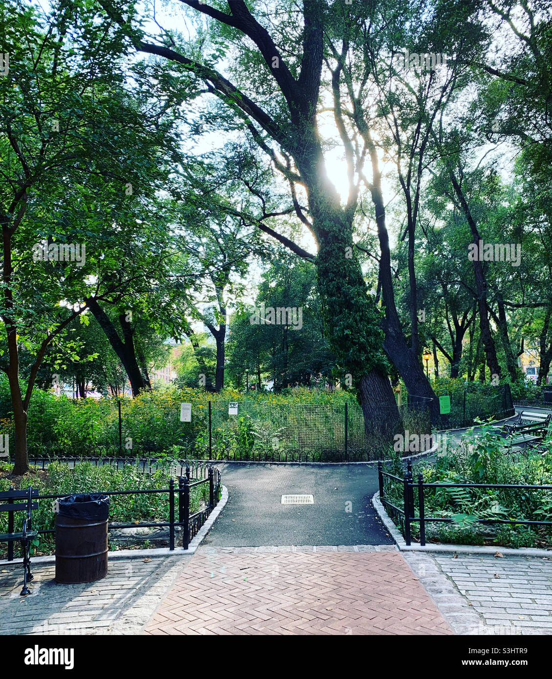 August 2021, Seward Park, Lower East Side, Manhattan, New York, New York, Vereinigte Staaten Stockfoto