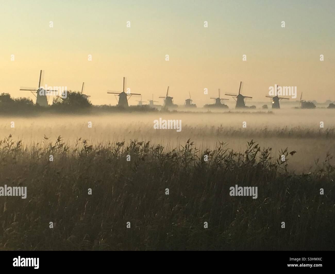 Misty Kinderdijk Stockfoto