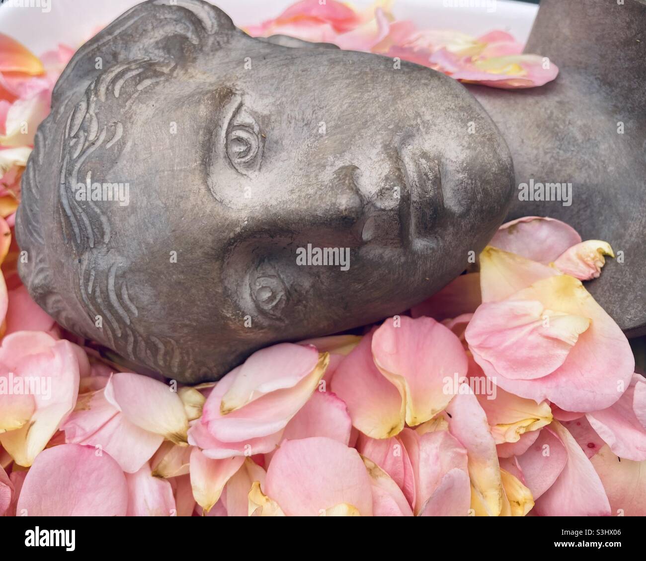 Eine graue weibliche Büste liegt seitlich in einem Bett aus rosa Rosenblättern - Smartphone-aufgenommenes Stockfoto