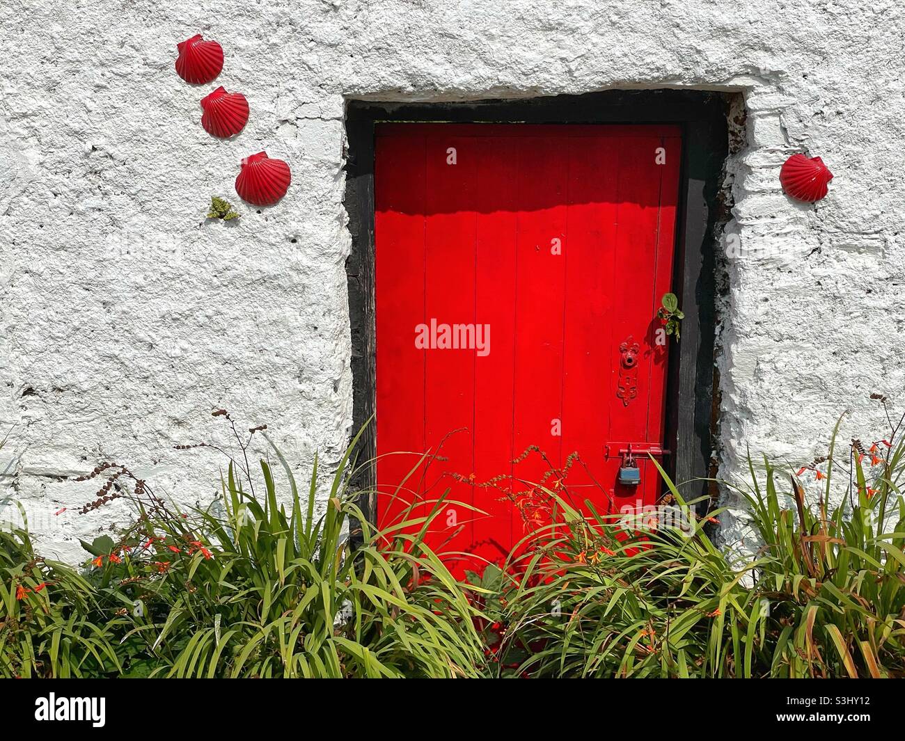 Rote Tür einer alten Hütte in Port Magee, County Kerry, Irland. Stockfoto