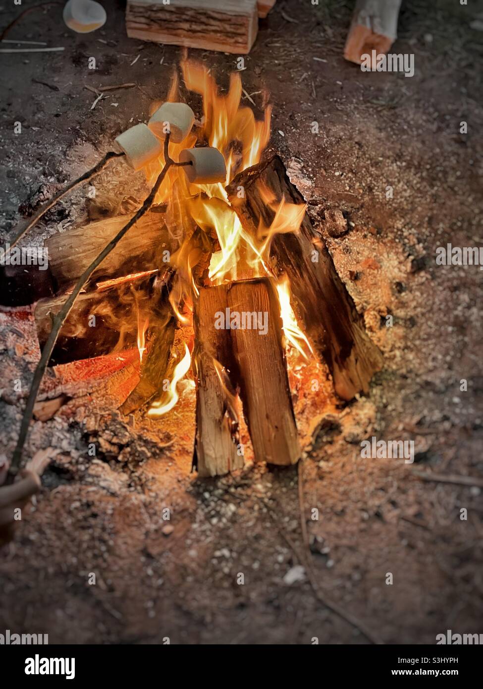 Lagerfeuer Marshmallows Stockfoto