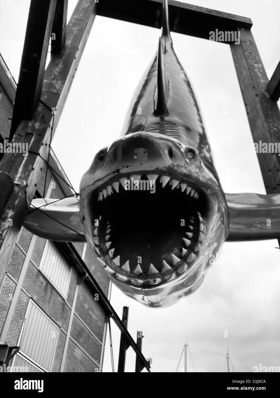 Künstlicher Weißhai im Hafen von Den Helder Willemsoord, August 2021 Stockfoto