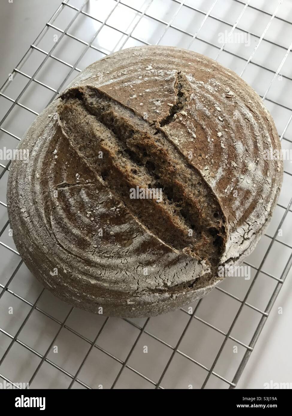 Frisch gebackenes Sauerteig-Roggenbrot, das auf einem Gestell kühlt - Smartphone-aufgenommenes Stockfoto