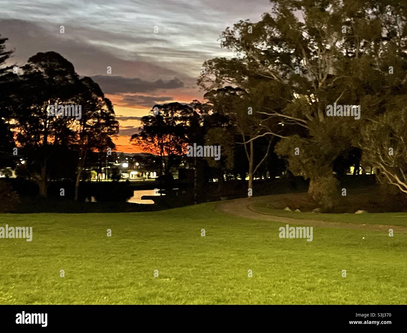 Park , Sonnenuntergang , Natur , Landschaft , Profilbild , Gras, Stockfoto