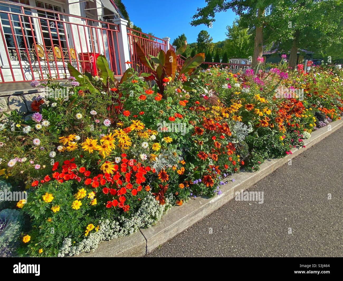 Wunderschöne Blumen auf dem Gelände des Grand Hotel auf Mackinac Island Stockfoto