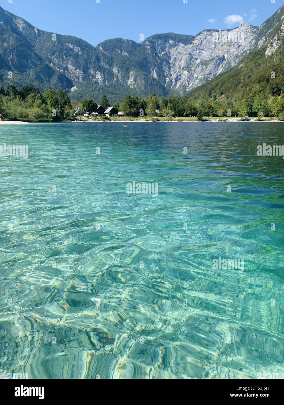 Klares Wasser des Sees bohinj Slowenien Stockfoto