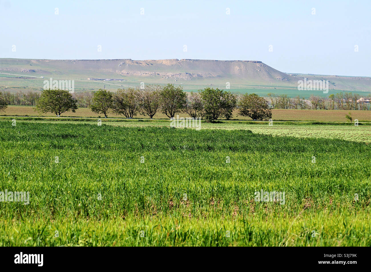 Blick auf eine schöne Landschaft mit einem kleinen Berg im Hintergrund Stockfoto