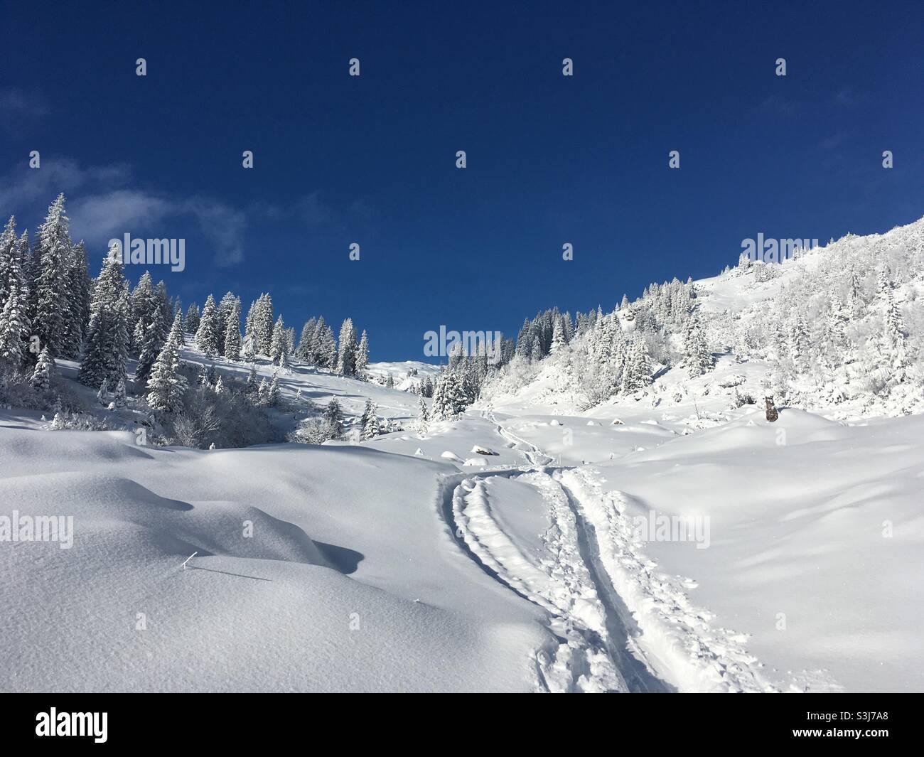Schöne verschneite Landschaft mit Skipisten in den Bergen im Winter Stockfoto