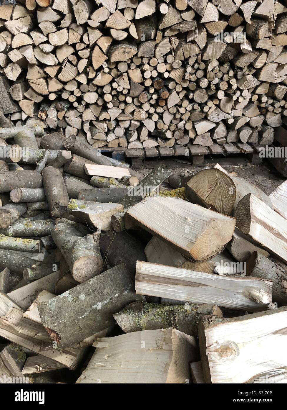 Stapel von Holzstämmen für Brennholz in einem Schuppen, Vereinigtes Königreich - Smartphone-aufgenommenes Stockfoto