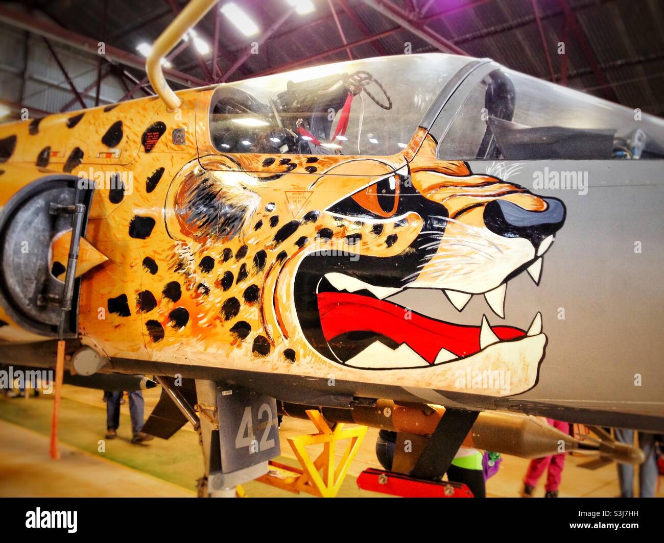 Das Bild eines Geparden auf einem Kampfjet auf einer Flugschau in Südafrika Stockfoto