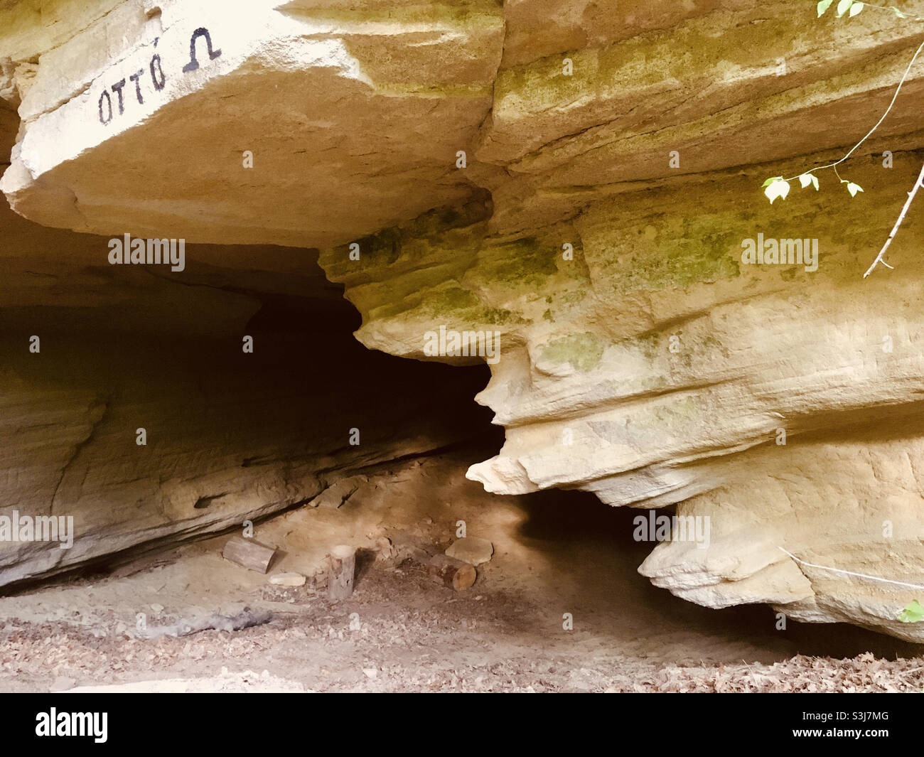 Sandstein in Otto-Barlang (Höhle), ungarisch-österreichische Grenze, bei Sopron, Ungarn Stockfoto