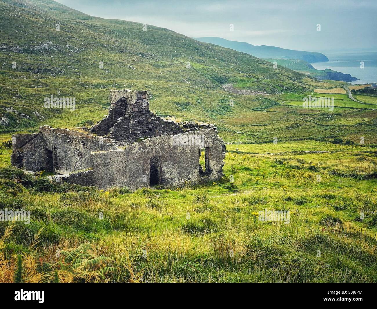 Verlassene und verlassene Steinhütte an der Küste der Grafschaft Kerry, Südwestirland, August. Stockfoto