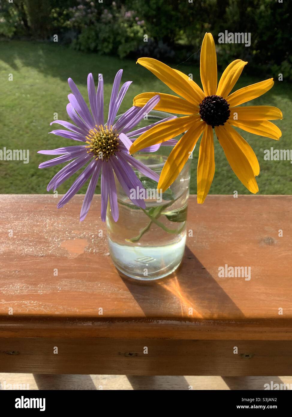 Nur zwei Freunde. Blühende Lime Aster und Rudbekkia blühen in Vase auf Holztisch Stockfoto