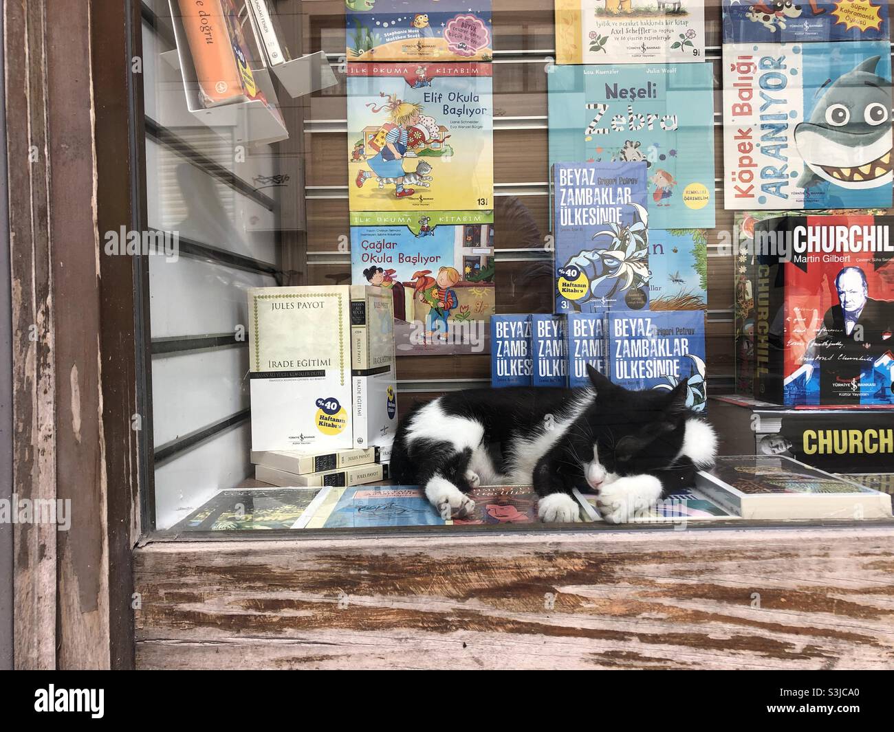 Katze schläft auf einem Schaufenster istanbul - Smartphone-aufgenommenes Stockfoto
