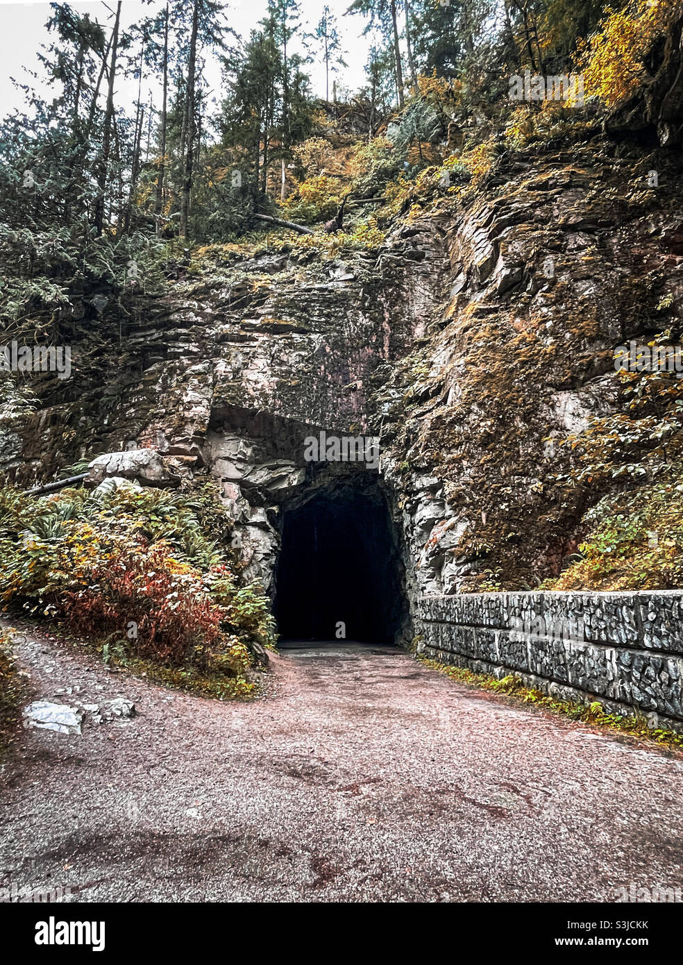 Verlassene Eisenbahntunnel Stockfoto