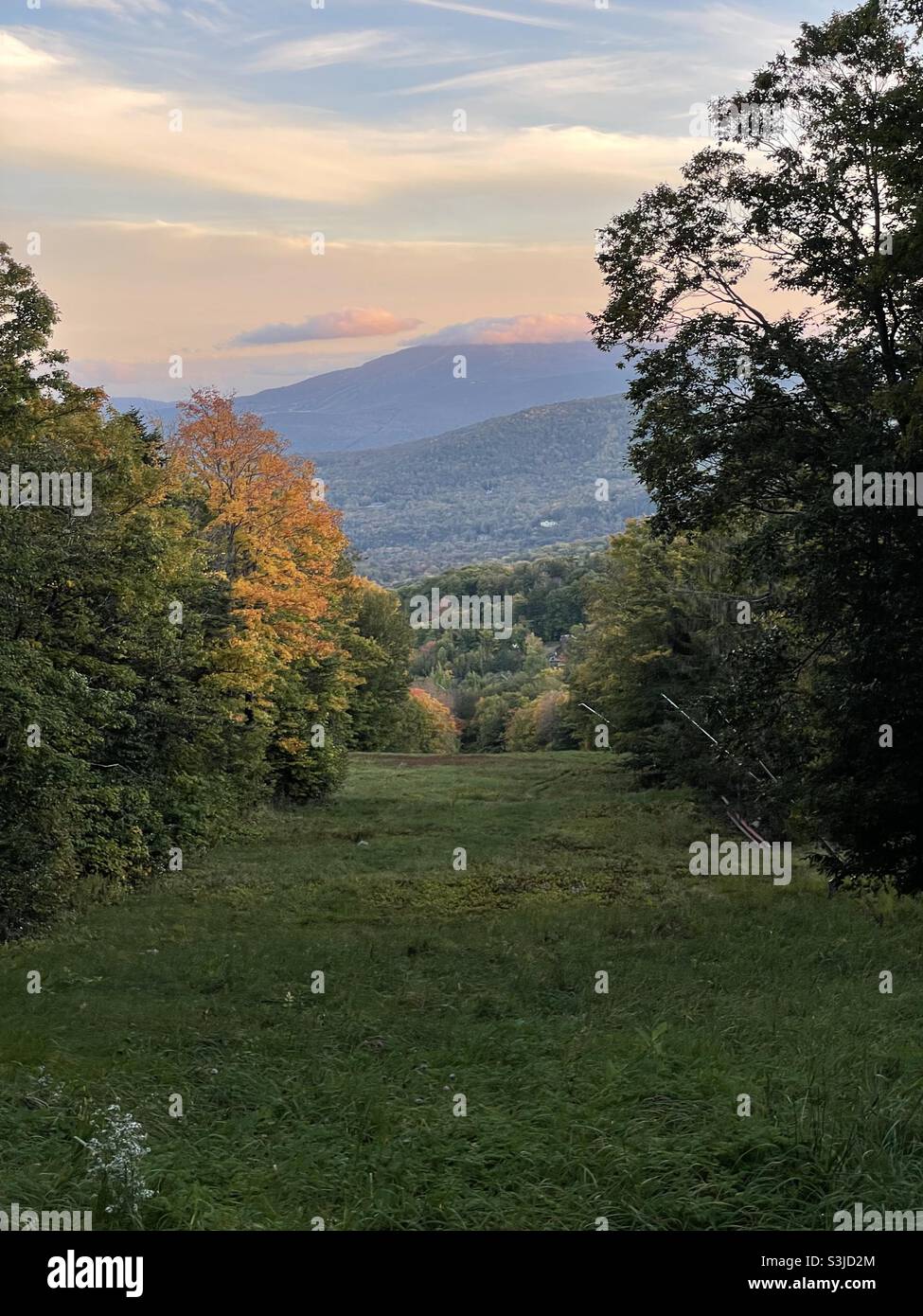 Die ersten Anzeichen des Herbstes zeigen sich an den höher gelegenen Hängen der Green Mountains in Vermont. Stockfoto