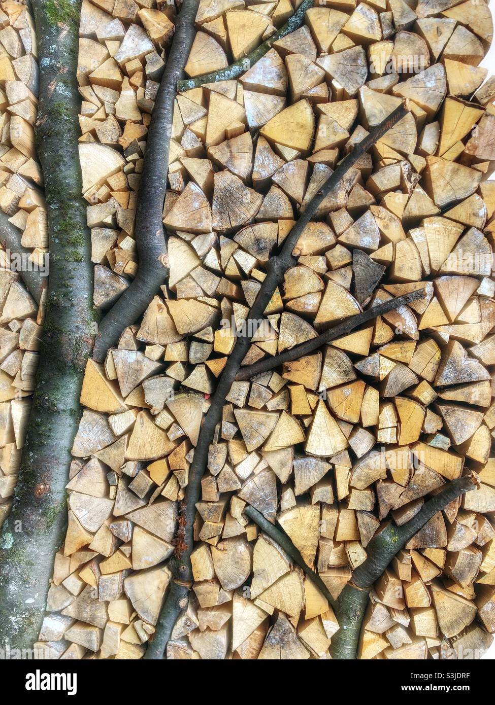 Holz in Steinen an der Wand, Dekorationskunst Stockfoto