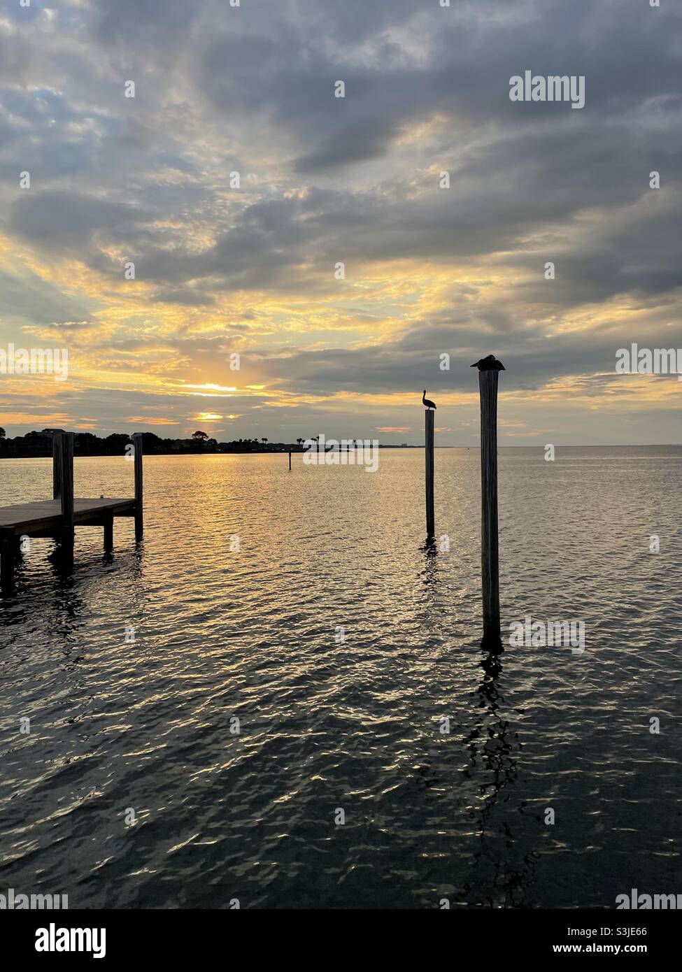 Farbenfrohe, wolkige Sonnenuntergänge über dem Hafenwasser mit Vogelschemen - Smartphone-aufgenommenes Stockfoto