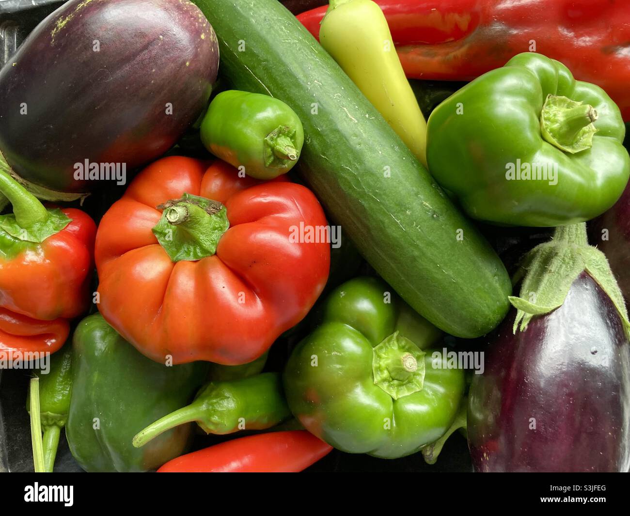 Gemüse aus dem Garten - Smartphone-aufgenommenes Stockfoto