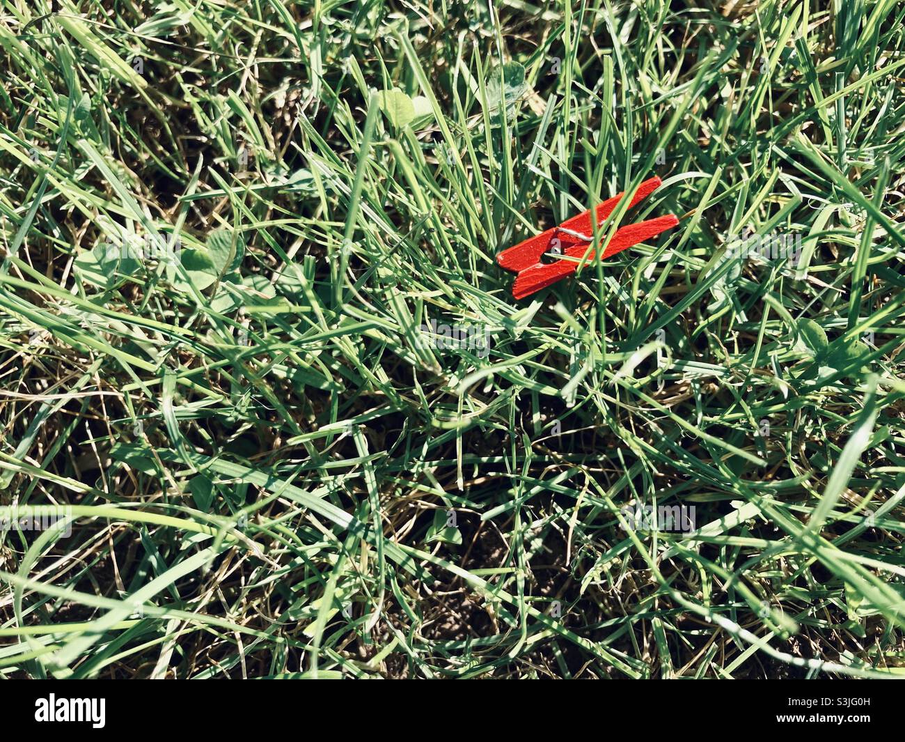 Roter Chlothespin in grünem Gras - Smartphone-aufgenommenes Stockfoto
