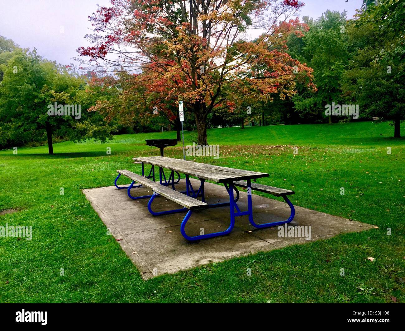 Picknickplatz Nr. 1 in voller Herbstpracht in einem schönen Park, Ontario, Kanada. Im Freien, Sylvan Einstellung, Bäume, Grün. Stockfoto