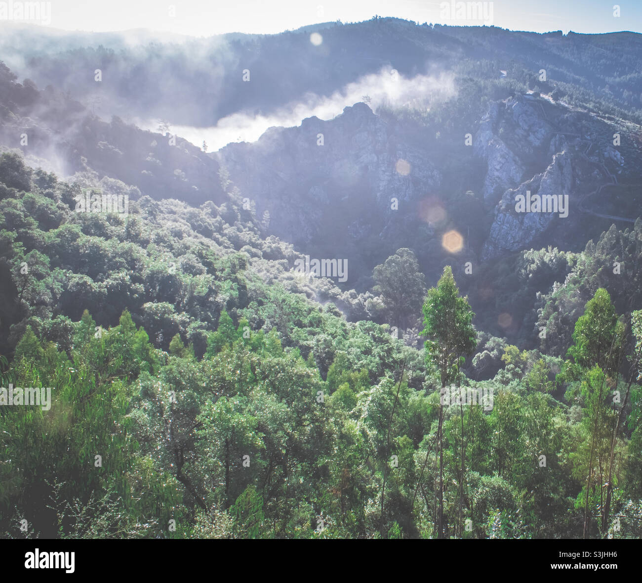 Ein heller, sonniger, herbstlicher Morgen, über nebligen, von Bäumen bedeckten Hügeln in Zentralportugal - Smartphone-aufgenommenes Stockfoto