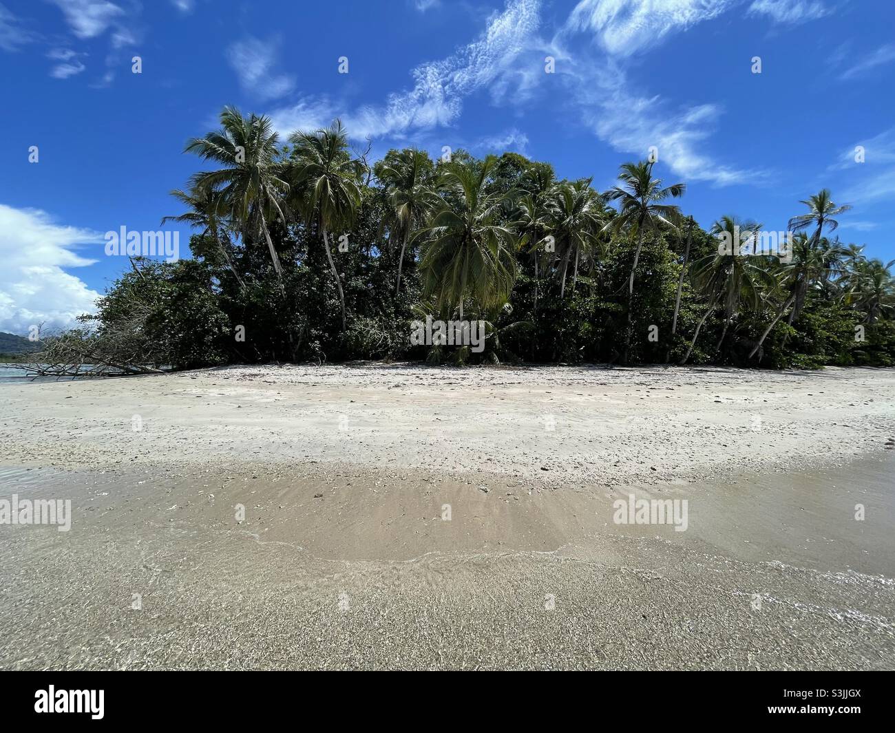 Playa en Costa Rica Stockfoto