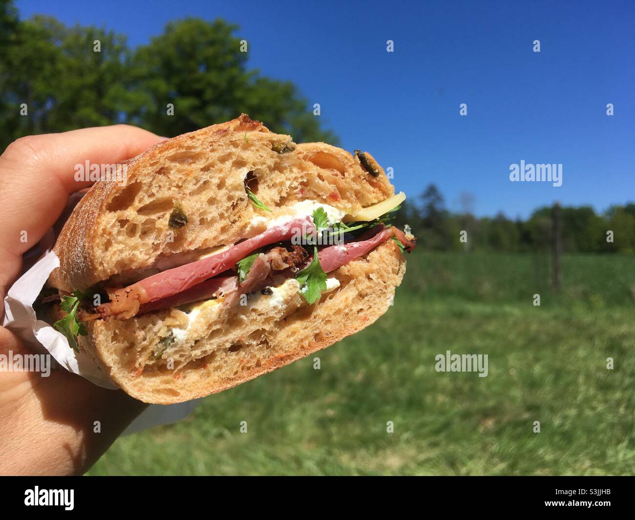 Hand hält leckeres Sandwich auf einer grünen Wiese in einem Park - Smartphone-aufgenommenes Stockfoto