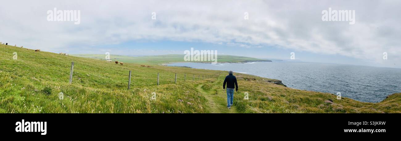 Spaziergang am Küstenweg nach Marwick Head, Orkney, Schottland. Panorama Stockfoto